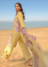 Rang Rasiya Embroidered Lawn Suits Unstitched 3 Piece RR23SP 05 Isabella – Premium Collection